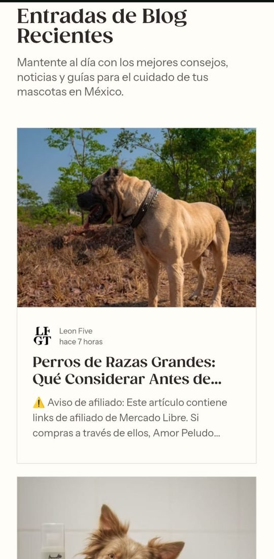 Listado de entradas recientes del blog, cada una con su foto, su autor y el aviso de afiliado