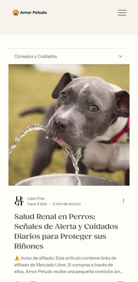 Artículo sobre salud renal en perros, con el aviso de afiliado de Mercado Libre visible bajo el título