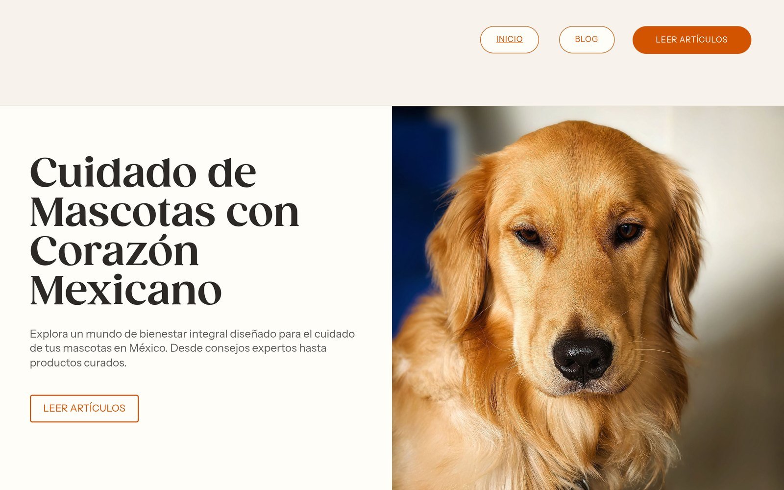 Portada de Amor Peludo: el titular «Cuidado de mascotas con corazón mexicano» junto a un golden retriever